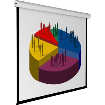 260X195 in formato 4:3 Schermo Motorizzato Bordato EIKON