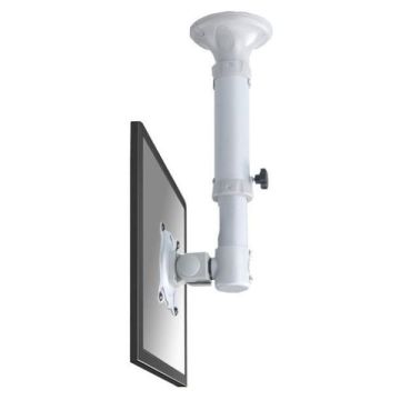 Staffa TV da soffitto Newstar FPMA-C025SILVER