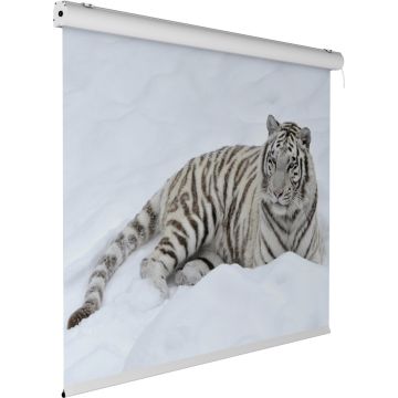 300x225 cm formato 4:3 schermo Motorizzato EIKON